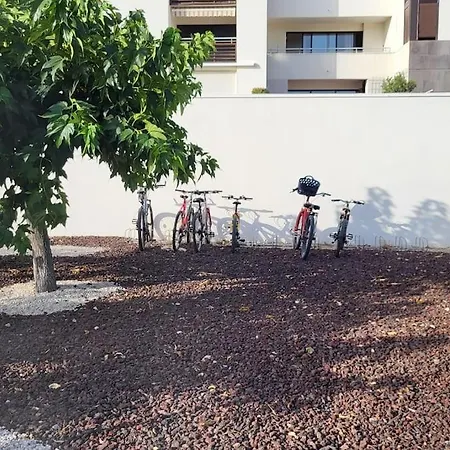 Apartment Le Refuge Cote